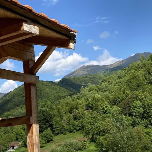 Bazen, spa i okolina