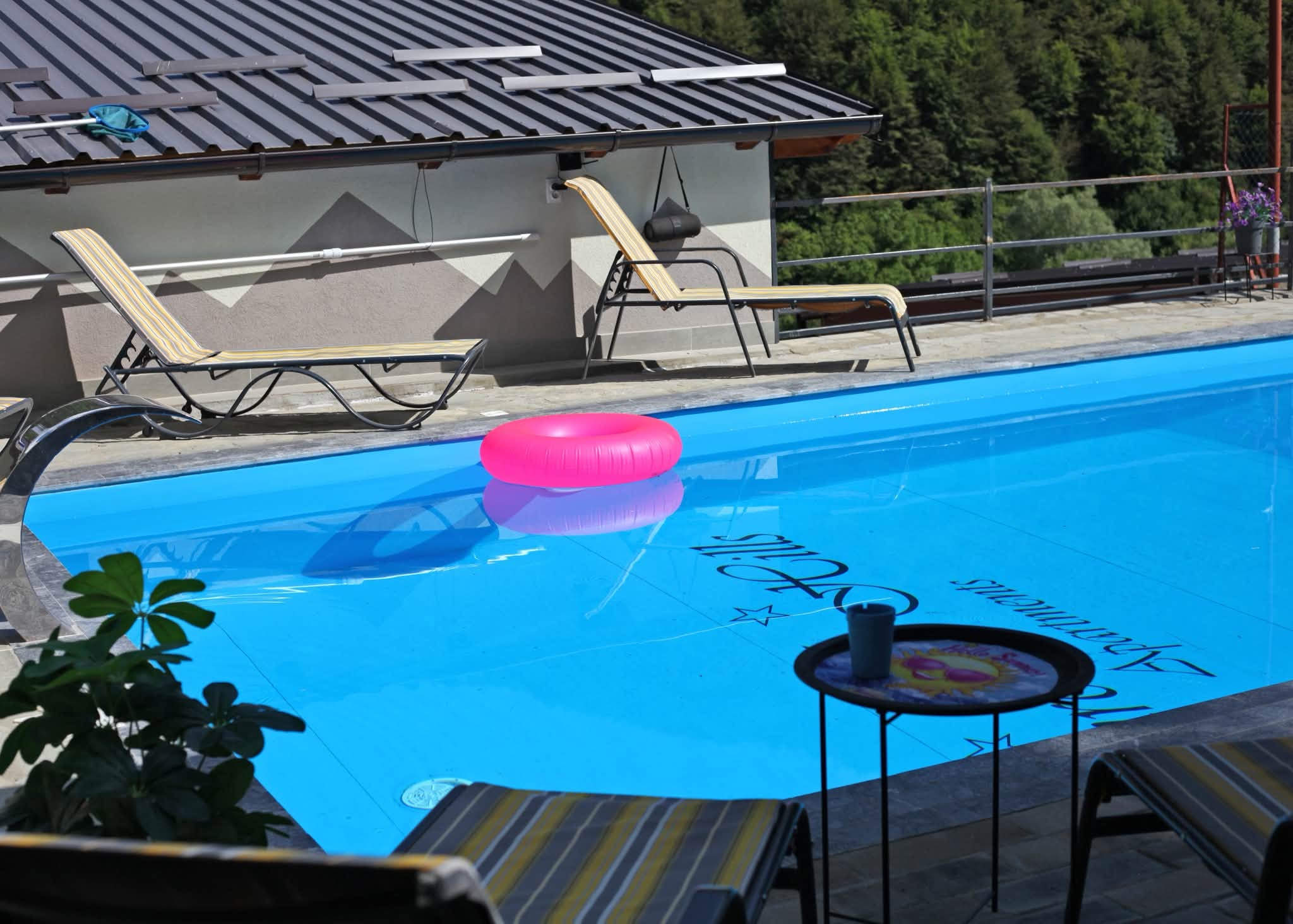 Bazen, spa i okolina